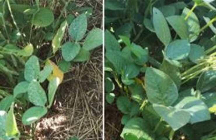 56b158f1e7974a90849ccc61d73ea19b_858x483